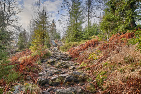 Gemeinde Sankt_Oswald-Riedlhütte Landkreis Freyung-Grafenau Großer Rachel Wanderweg (Dirschl Johann) Deutschland FRG